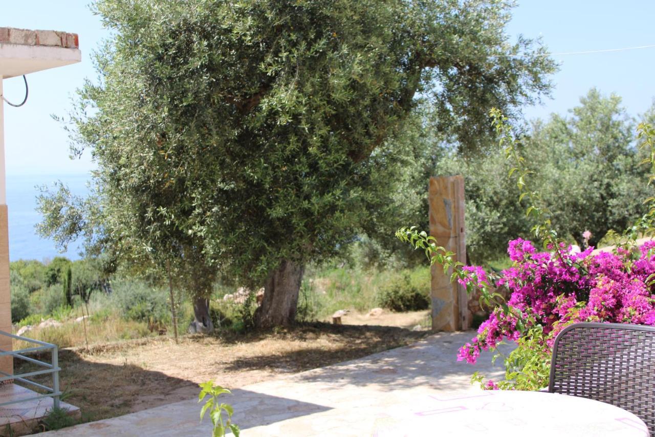 Penelope 2 Ξενοδοχείο Dhërmi Εξωτερικό φωτογραφία